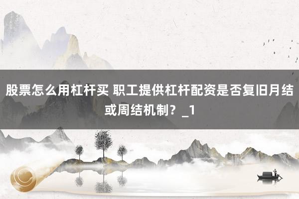 股票怎么用杠杆买 职工提供杠杆配资是否复旧月结或周结机制？_1