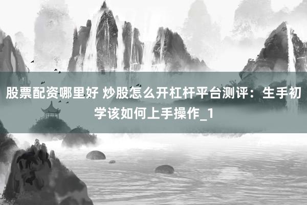 股票配资哪里好 炒股怎么开杠杆平台测评：生手初学该如何上手操作_1
