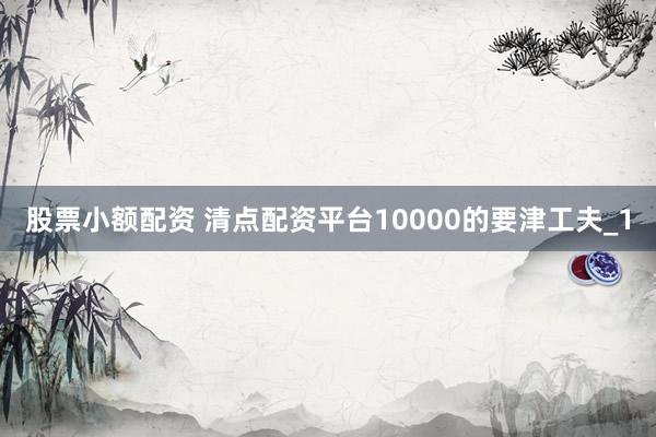 股票小额配资 清点配资平台10000的要津工夫_1