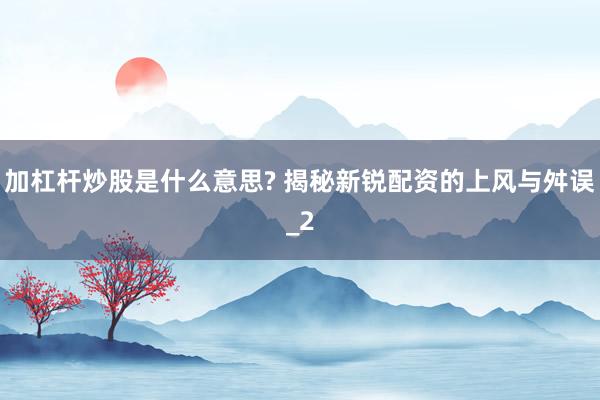 加杠杆炒股是什么意思? 揭秘新锐配资的上风与舛误_2
