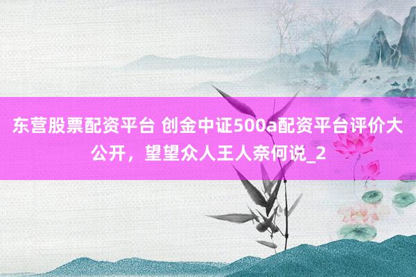 东营股票配资平台 创金中证500a配资平台评价大公开，望望众人王人奈何说_2