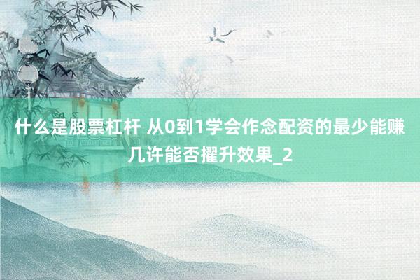 什么是股票杠杆 从0到1学会作念配资的最少能赚几许能否擢升效果_2